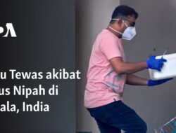 Satu Tewas akibat Virus Nipah di Kerala, India