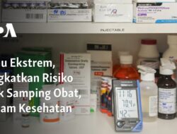 Suhu Ekstrem, Tingkatkan Risiko Efek Samping Obat, Ancam Kesehatan